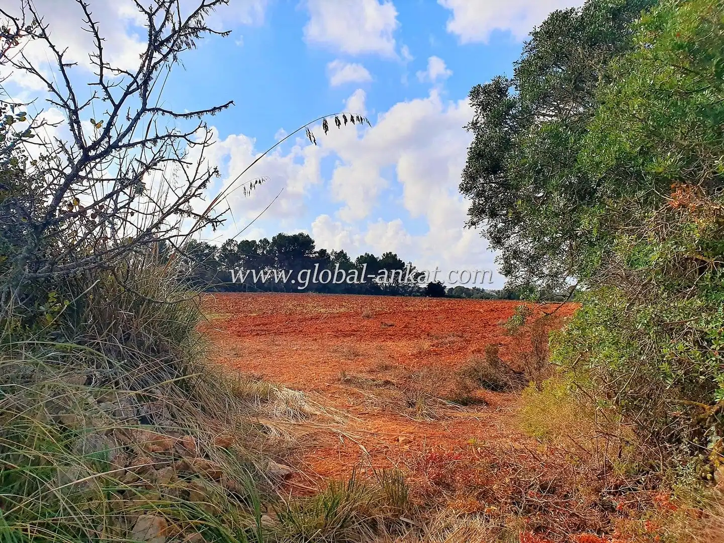 Residential land for sale in Zona Rústica - Interior