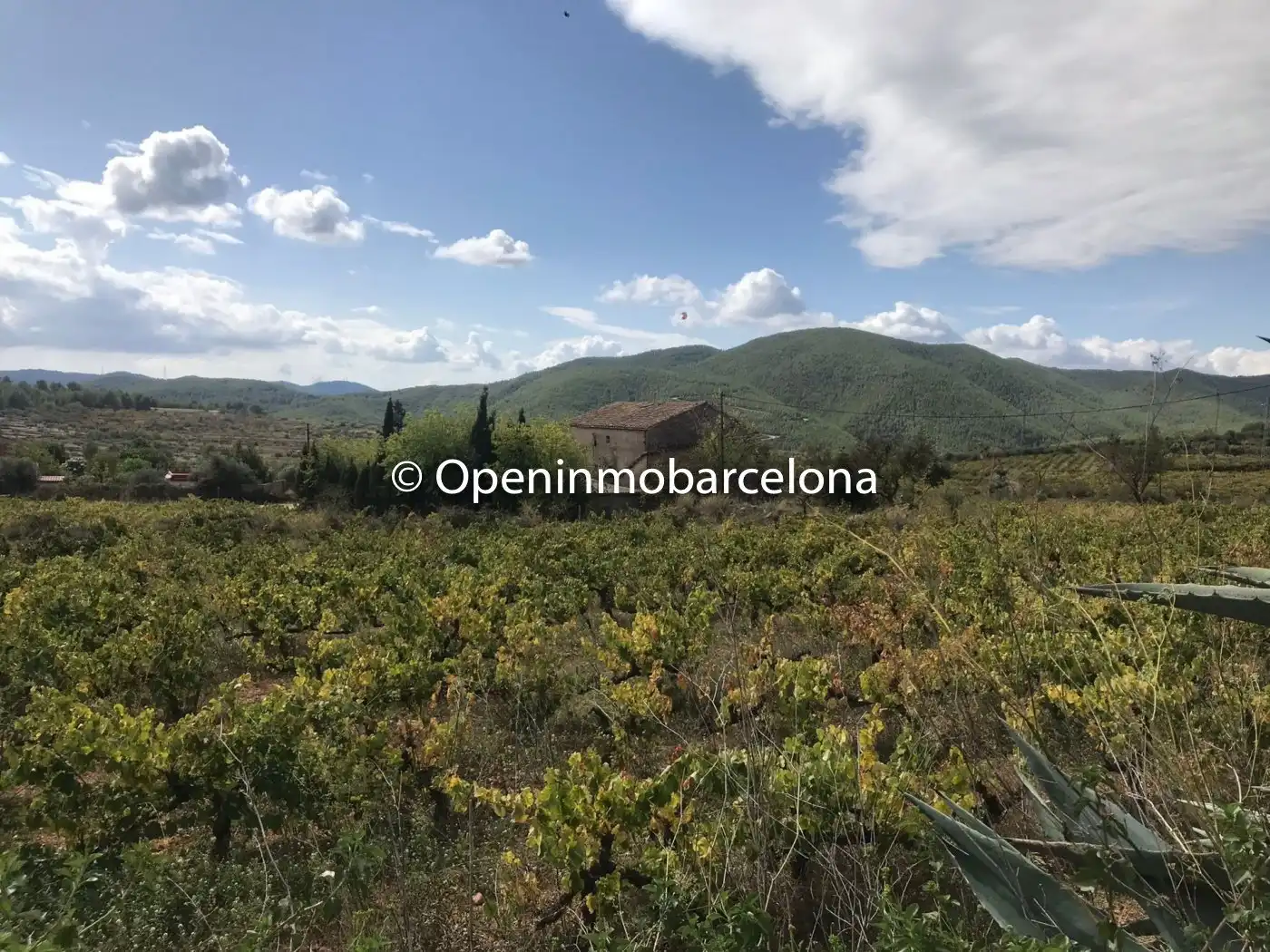 Casa rústica en venda a Torrelles de Foix, imagen 12