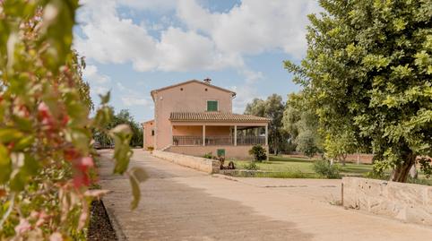 Foto 2 de Casa o chalet en venta en Sa Casa Blanca,  Palma de Mallorca