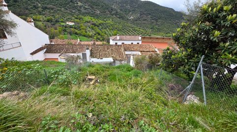 Foto 4 de Casa o chalet en venta en Grazalema, Cádiz