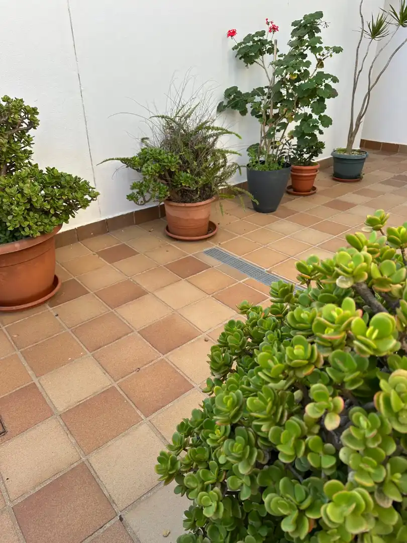 Apartment to rent in Mar Jonico, imagen 13