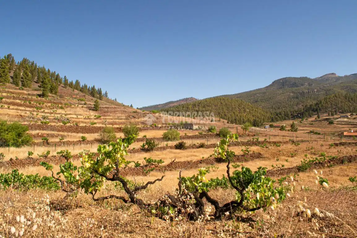 Terreno en venta en Arona