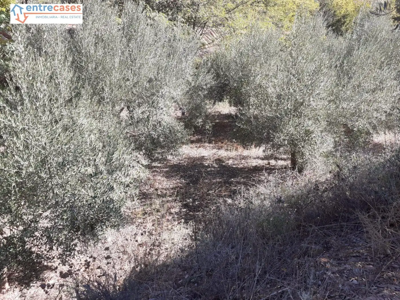 Terreno rustico in vendita a Segorbe, imagen 31