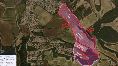 VINYA EN VENDA AMB POSSIBILITAT DEDIFICAR