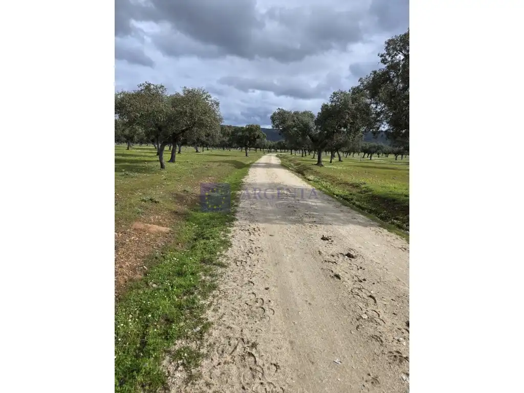House for sale in Oeste, imagen 3