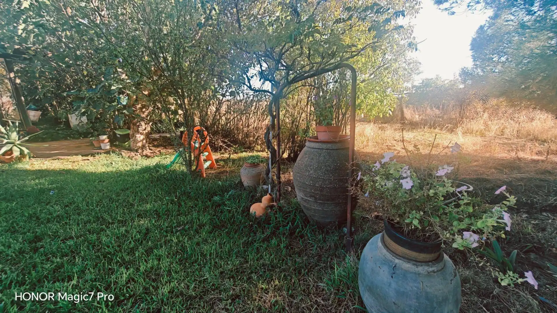 Jardí de Finca rústica en venda en Urbanización Siglo XXI - Carretera de Villalpando