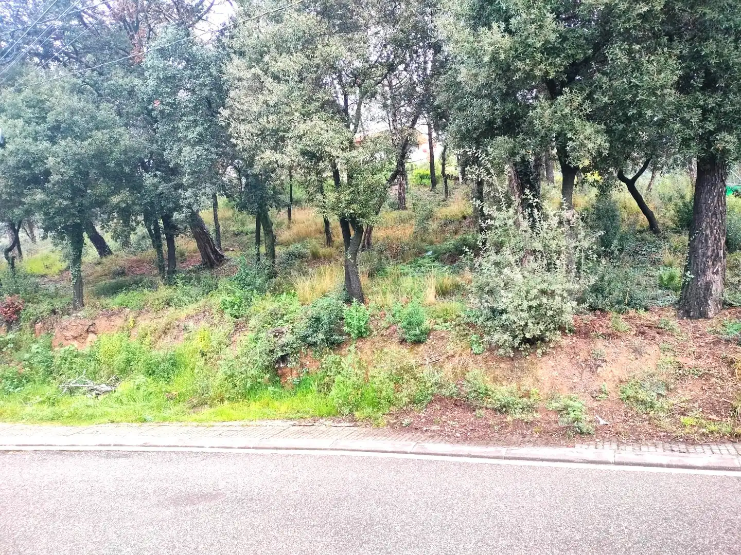 Terreno residencial en venta en Carrer Llessami, imagen 4