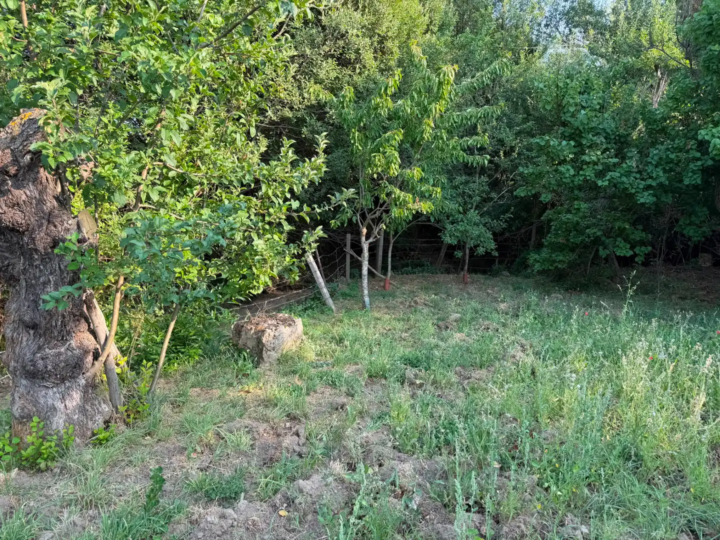 Casa o chalet en venta en Cillán