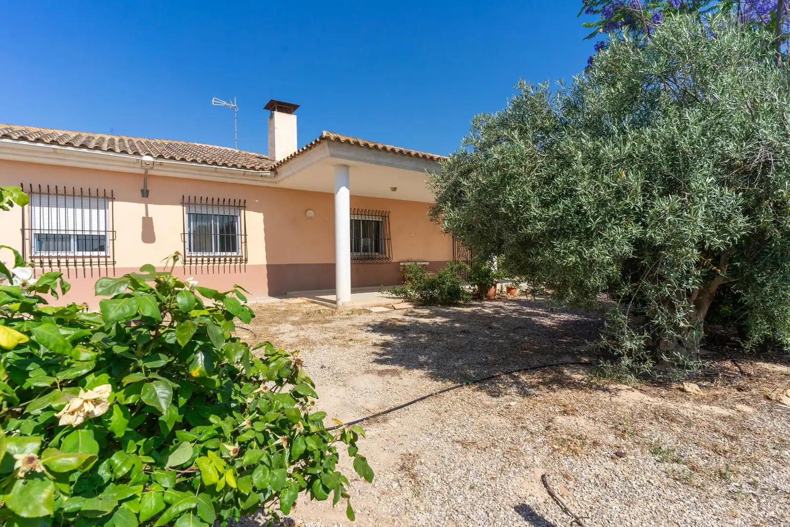 Exterior view of Country homes for sale in Abarán  with Terrace and Furnished