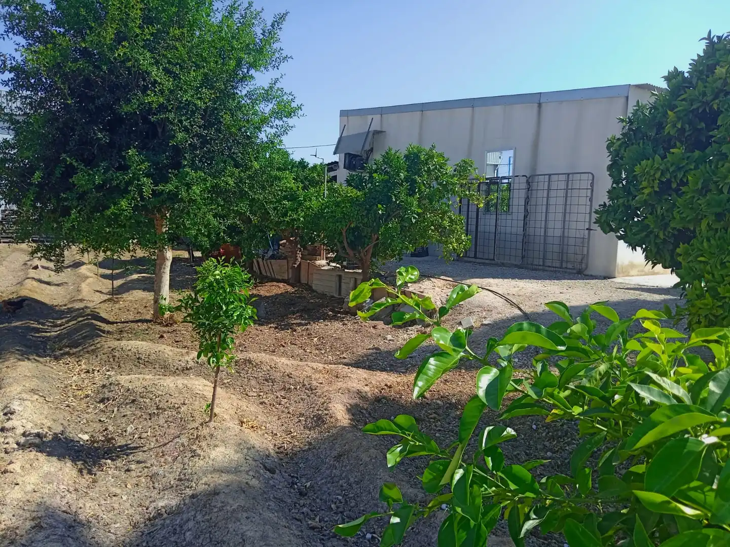 Apartments for sale in Murcia  with Private garden, Storage room and Furnished