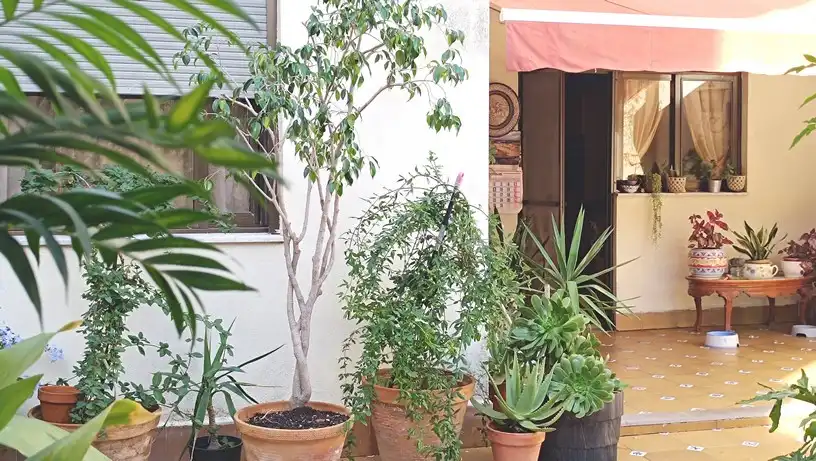 Terraced house with terrace for sale in Carrer Mestre Salvador Ferrandis, imagen 7