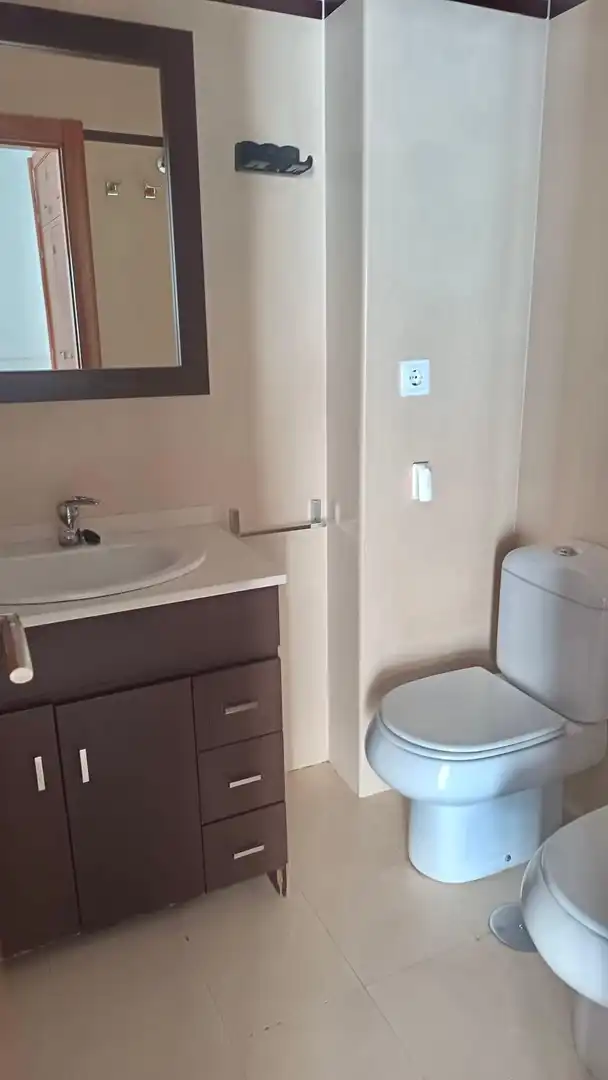 Bathroom of Flat for rent in Granada