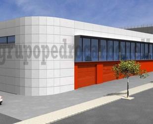 Exterior view of Industrial buildings to rent in Elche / Elx