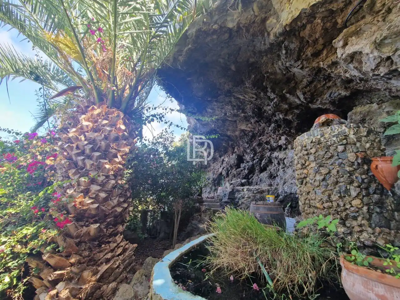 Jardín de Finca rústica en venta en Icod de los Vinos con Jardín privado y Terraza