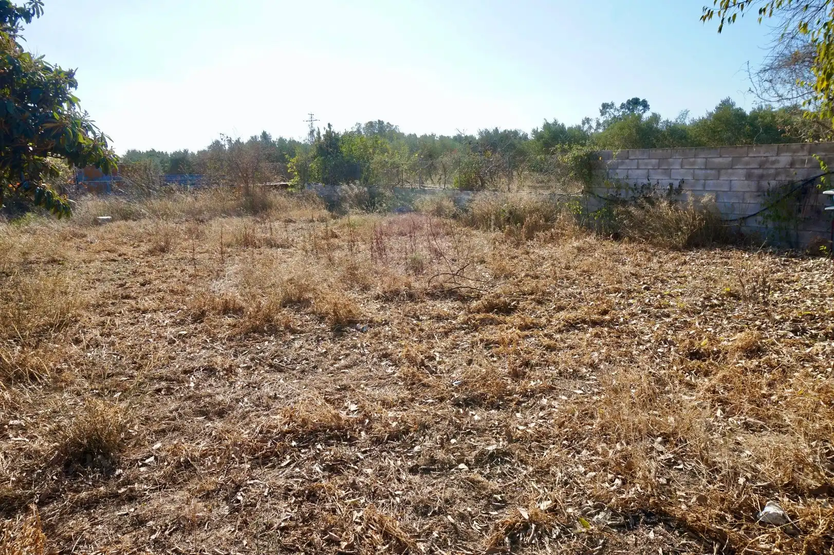 Terrain rustique à vendre à T-310, imagen 67
