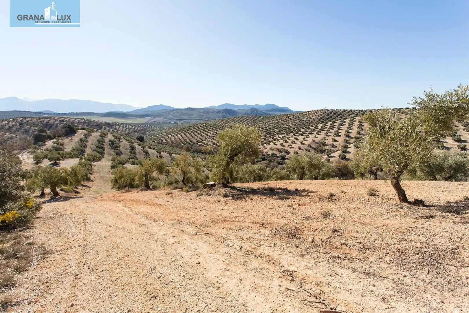 Land for sale in Campotéjar