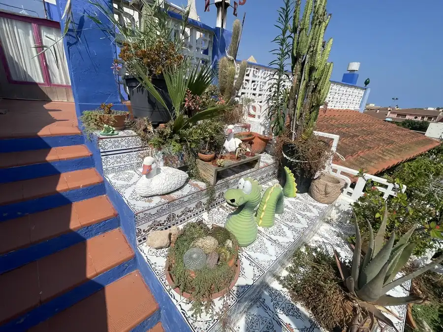 Reihenhaus zum Verkauf in Formentera del Segura, imagen 31