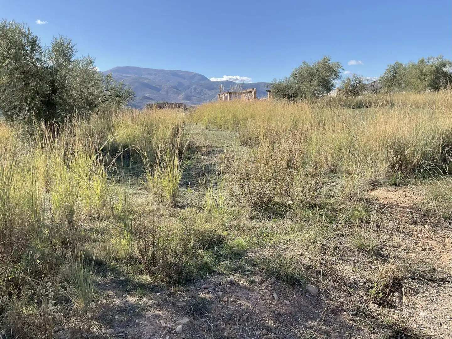 Land for sale in Padules