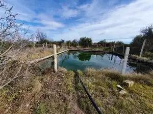 Casa con piscina en venta en Carretera de Caniles, imagen 12