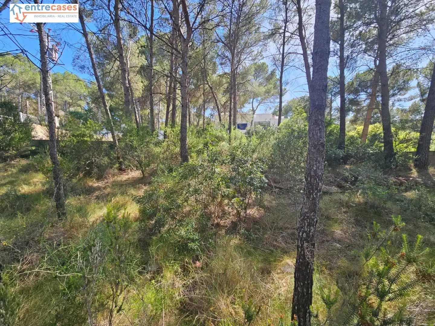 Residential land for sale in Gilet, imagen 20