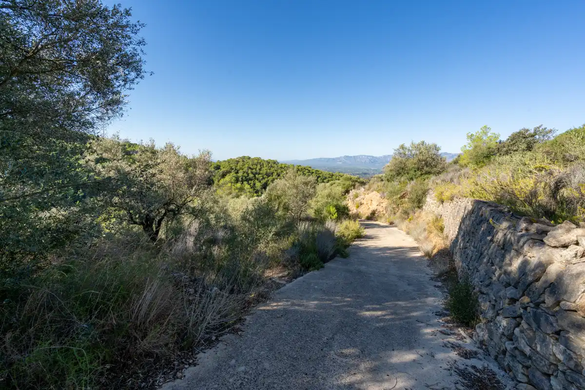 Terreny rústic en venda a Camí de la Potra de Pino 28, imagen 29