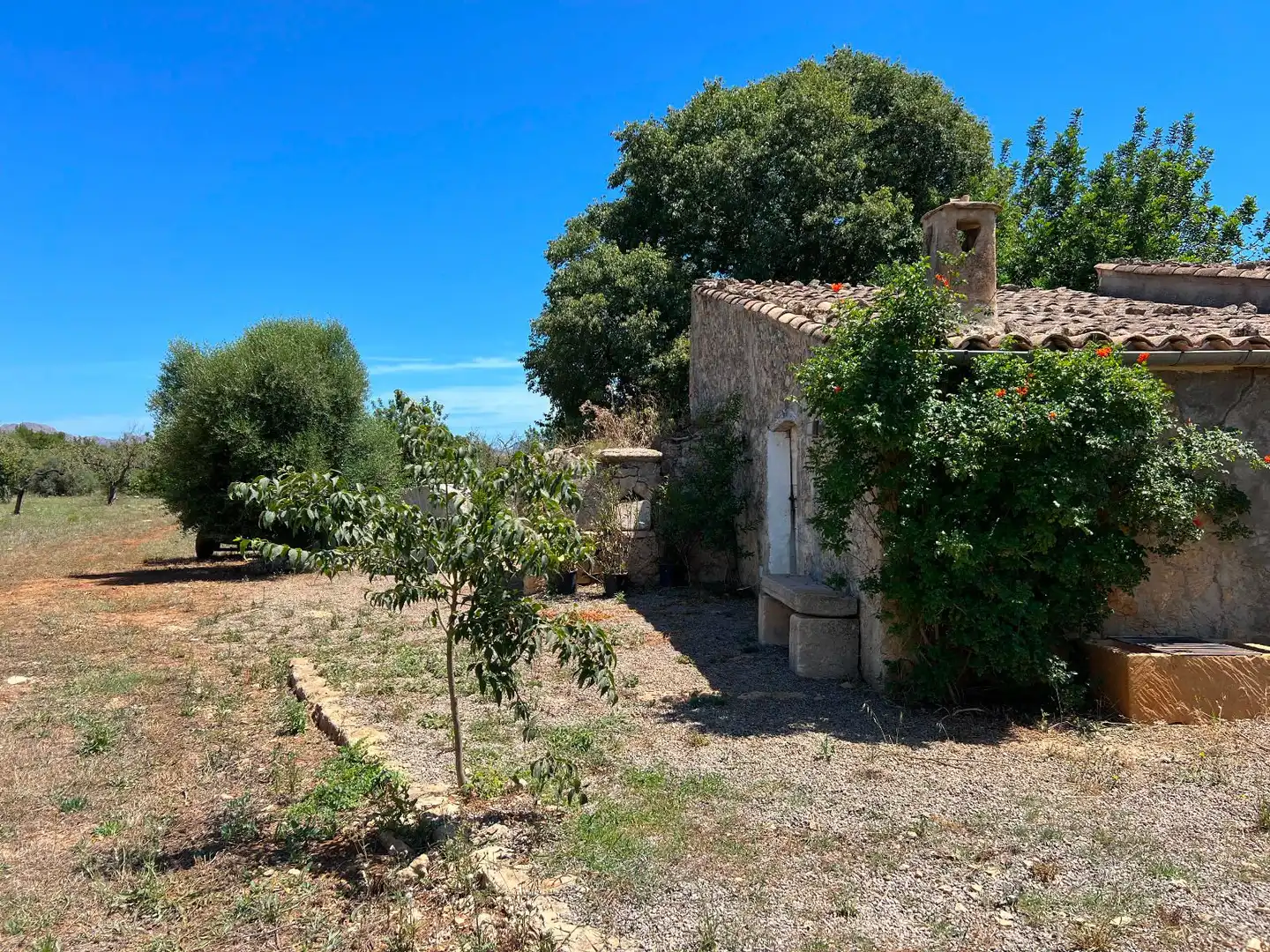 Terreno residenziale in vendita a Pollença Poble, imagen 2