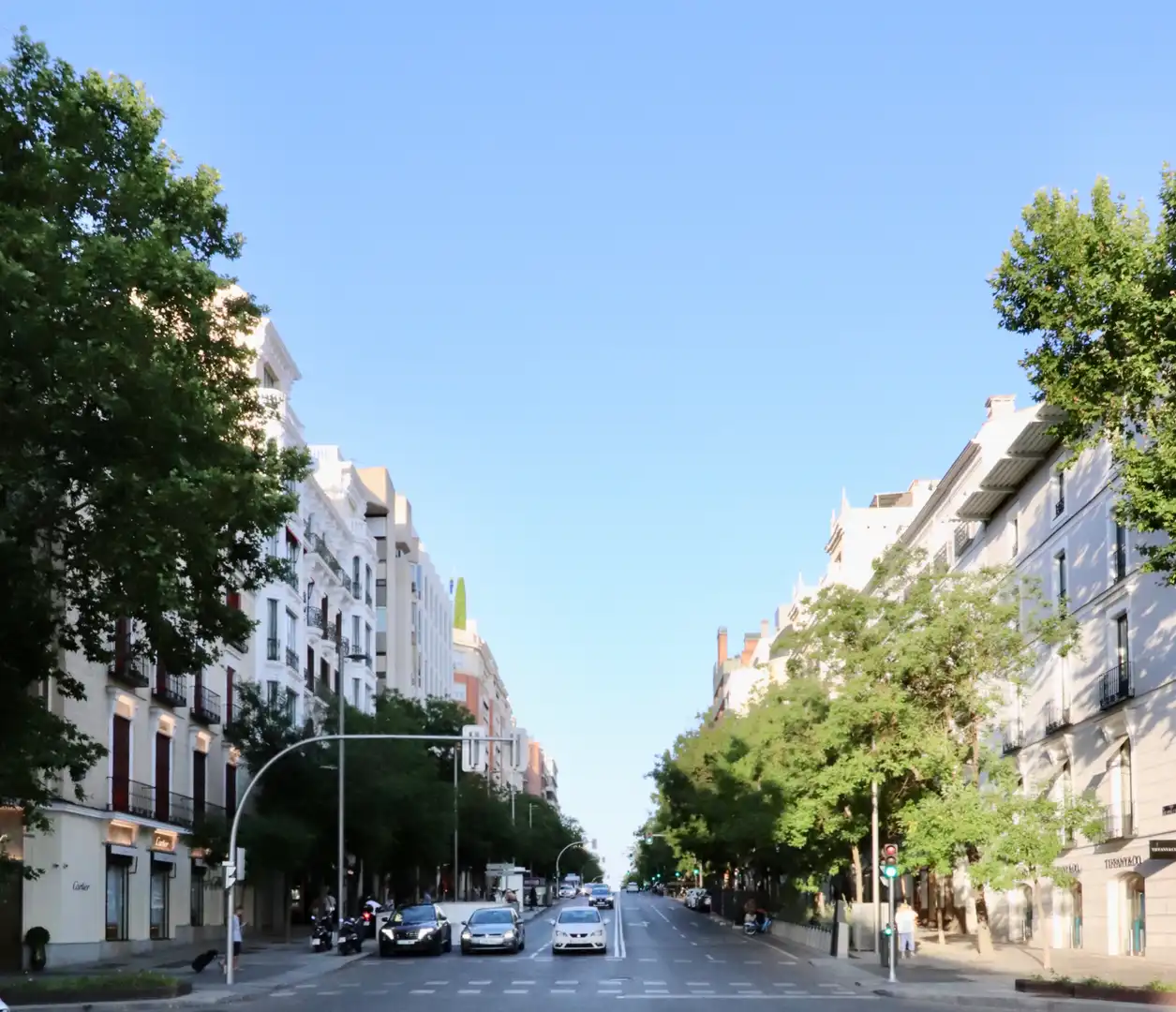 Appartement avec terrasse à vendre à Calle de Serrano, imagen 12