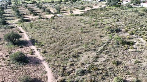 Se vende parcela rústica de 3.600 m2 en Camp de Llíria, imatge 3
