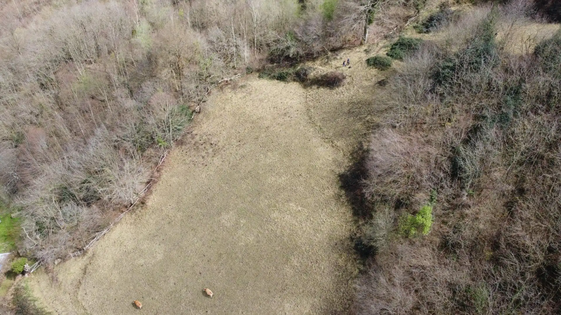 Land for sale in Riosa