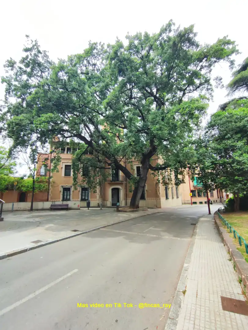 Vista exterior de Piso en venta en La Garriga con Calefacción y Horno