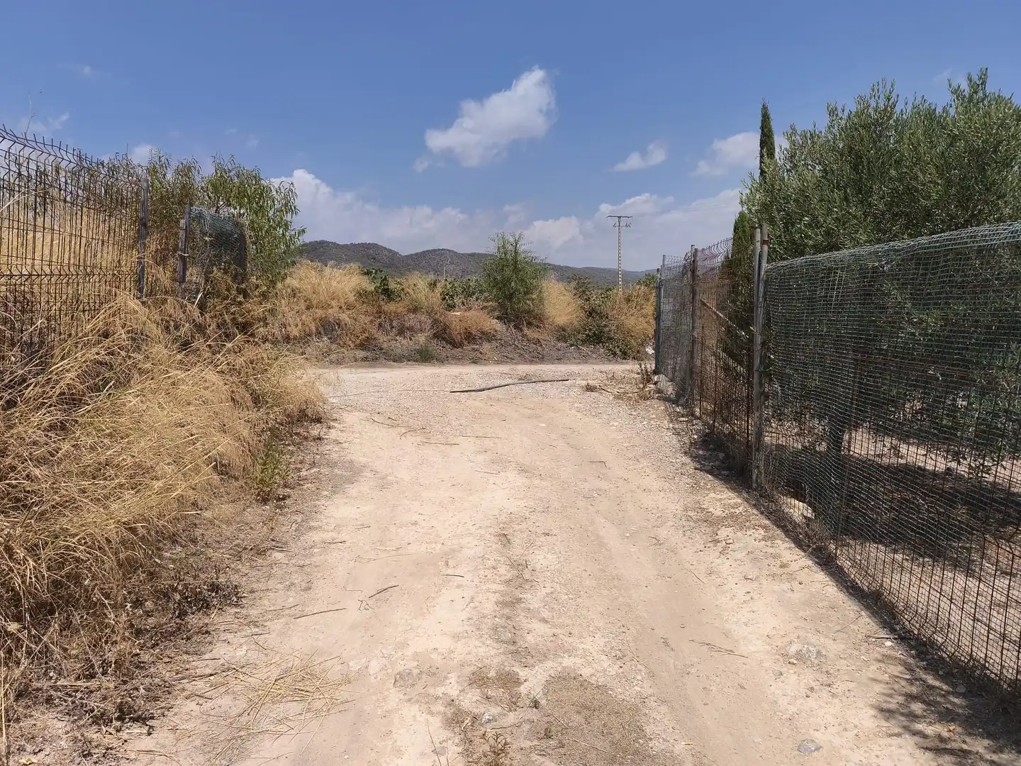 Rustikales Grundstück zum Verkauf in Sant Jaume dels Domenys, imagen 4
