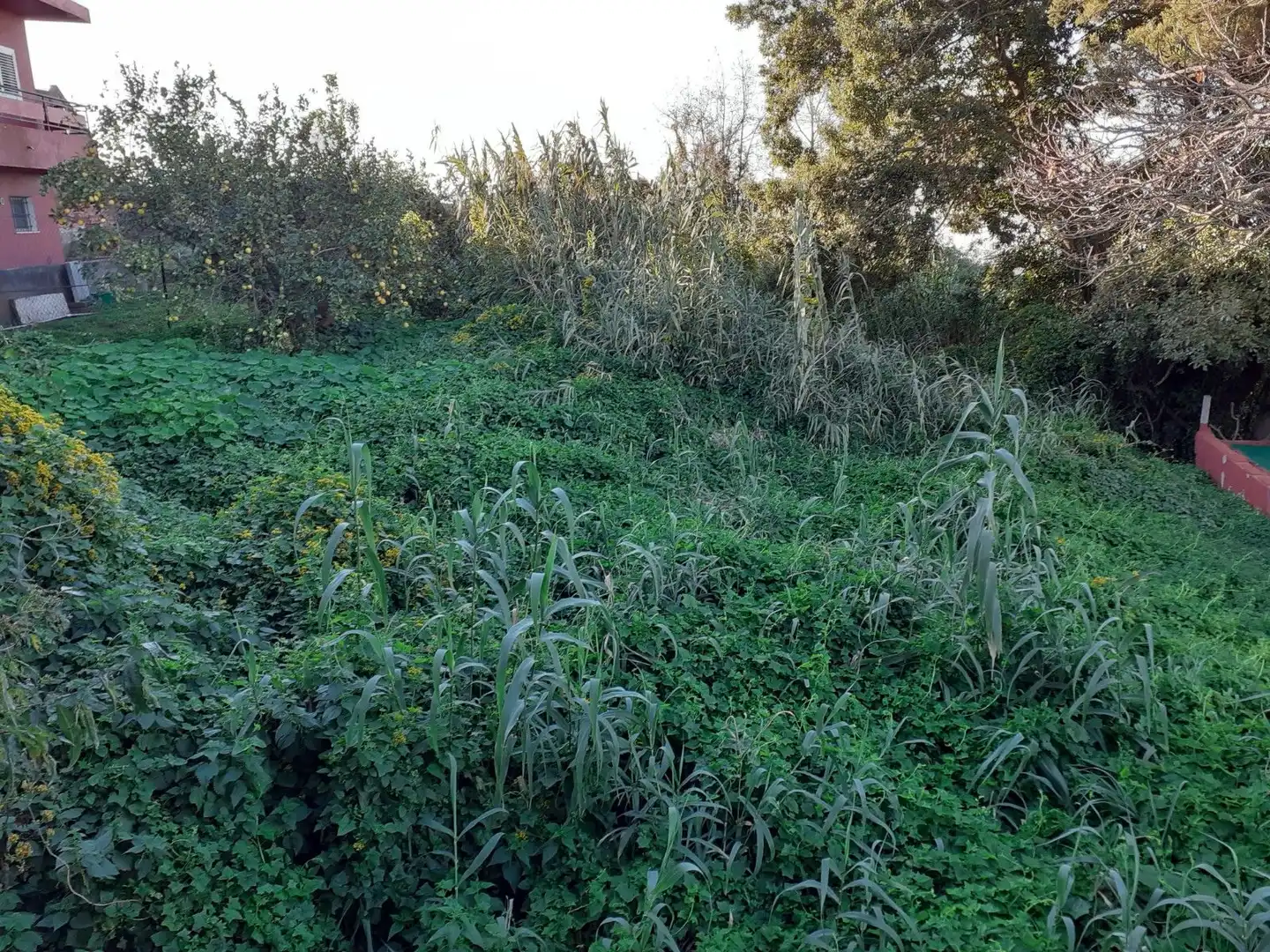 Terreni e lotti in vendita a Hermandad de Campoo de Suso, imagen 7