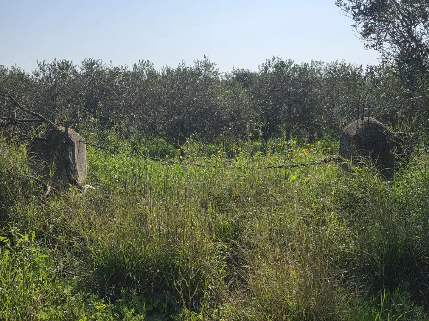 Terreno rustico in vendita a del Polígon Industrial 'La Ravaleta', imagen 9
