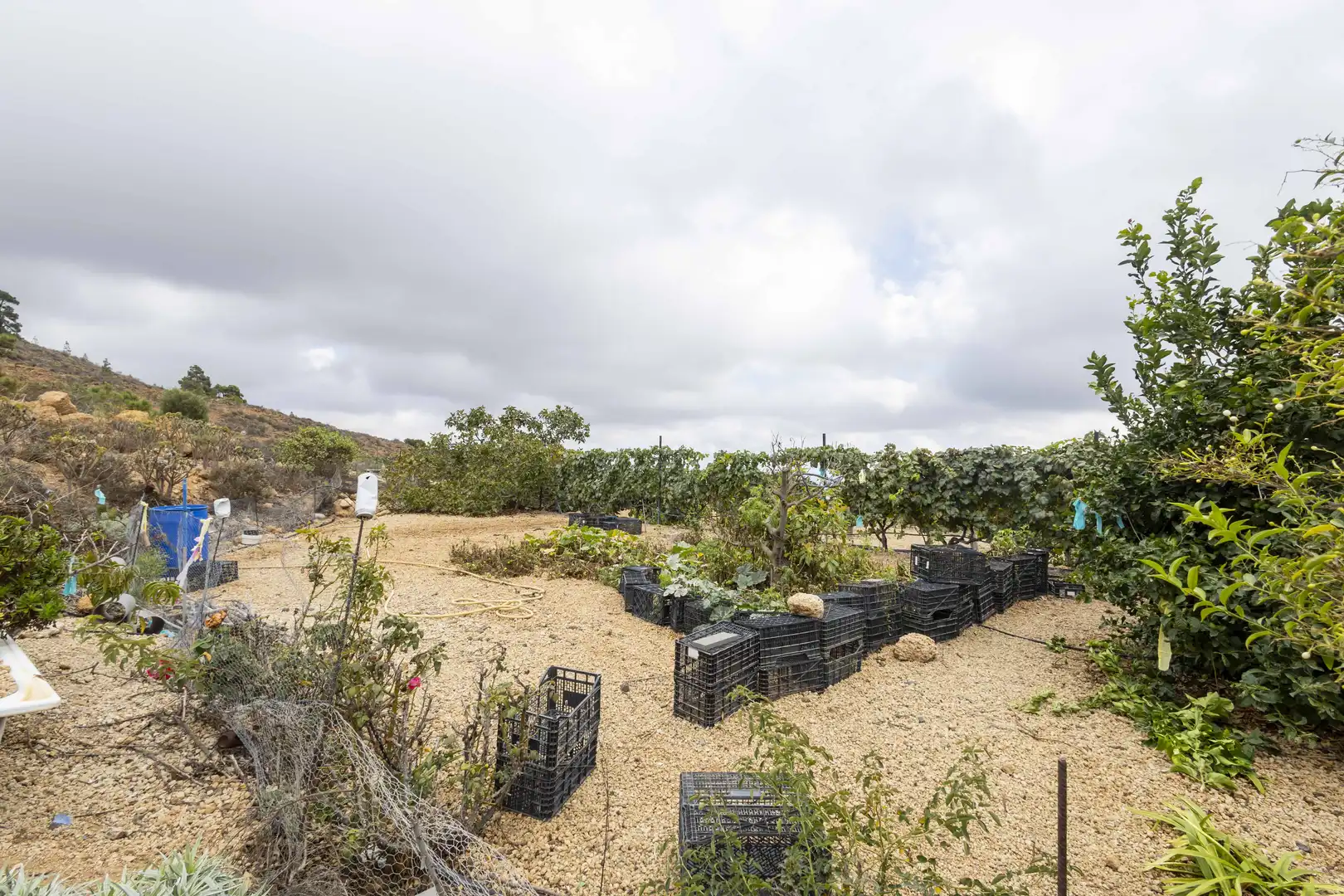 Terreno rustico in vendita a Calle San Bartolomé, imagen 5