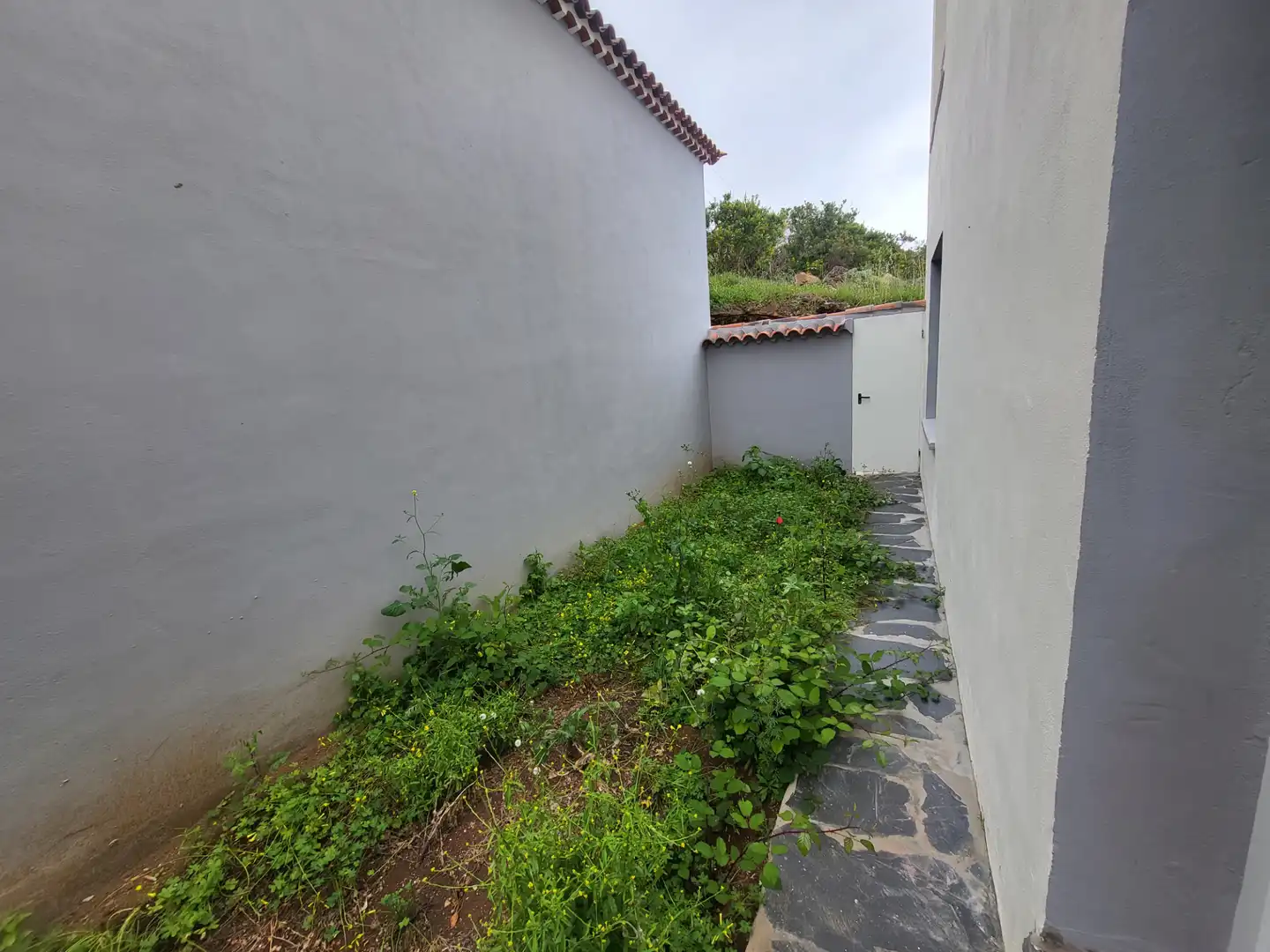 Casa o xalet en venda a Santa Úrsula, Santa Cruz de Tenerife