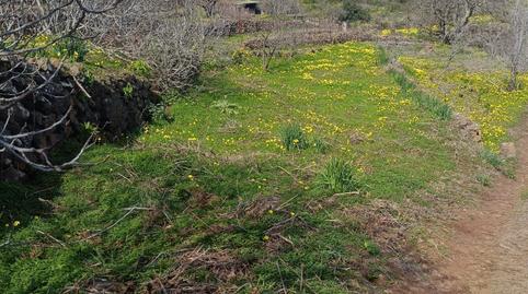 Foto 2 de Terreno en venta en Diseminado Preventorio, 17, La Esperanza - Llano del Moro, El Rosario