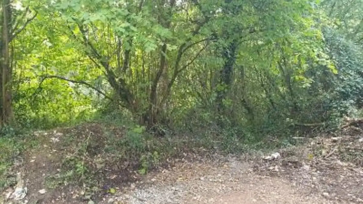 Terreno rustico in vendita a Lugar Carrionina, imagen 16