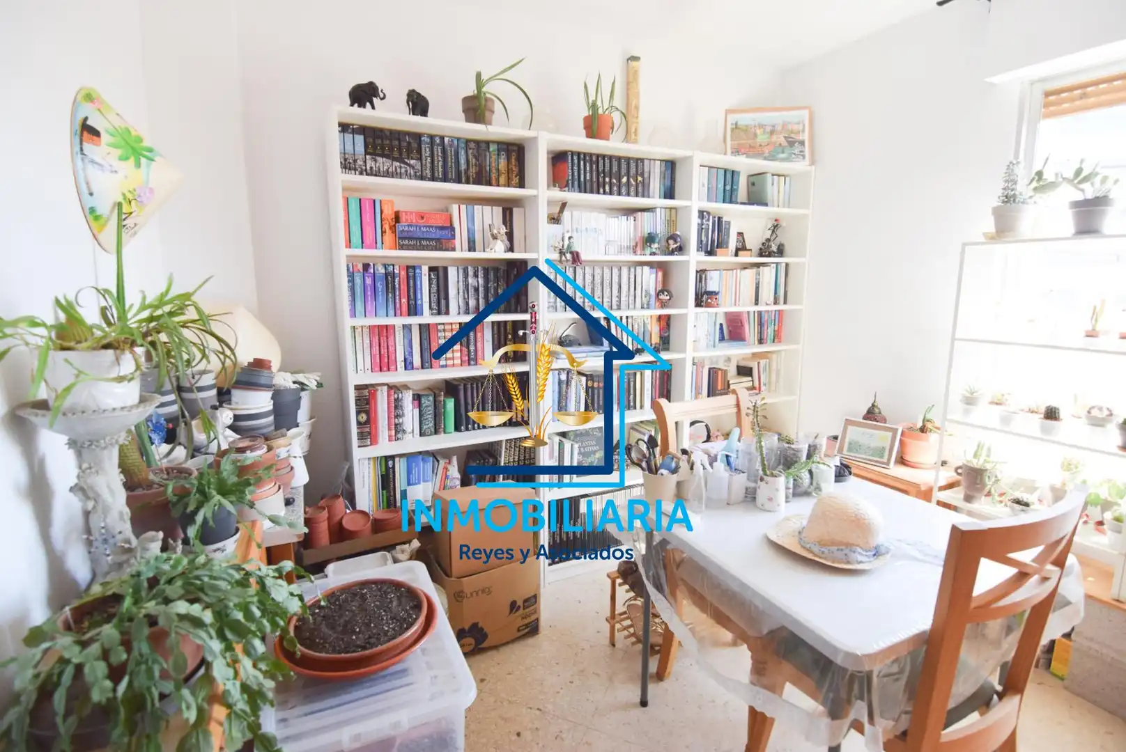 Sala de estar de Piso en venta en Córdoba