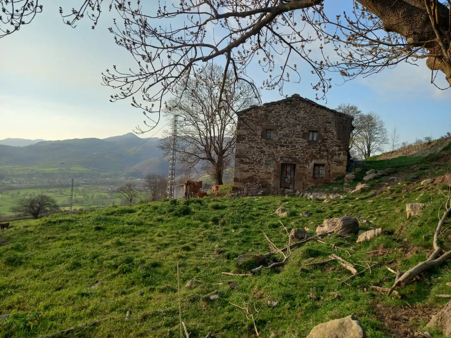 Exterior view of Land for sale in Villacarriedo