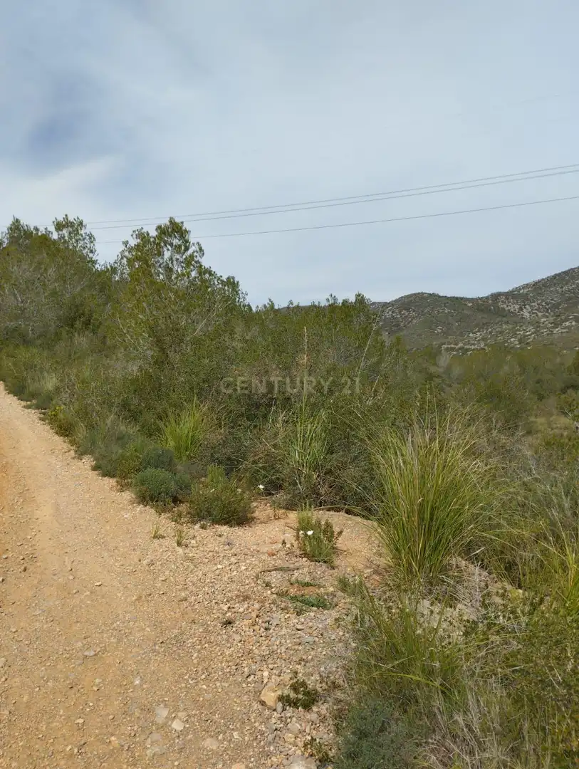 Terreny rústic en venda a poligono 3, imagen 6