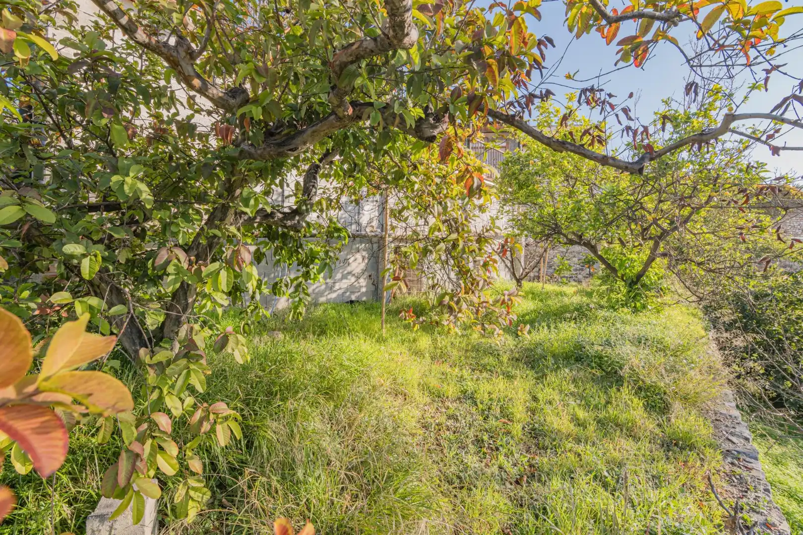 Casa o xalet en venda en Molvízar amb Jardí privat, Terrassa i Traster