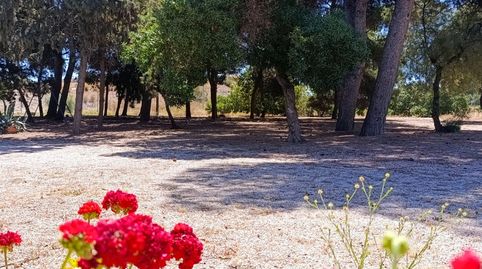 Foto 3 de Finca rústica en venta en Herrero, Lo-ds Lentiscar, Los Urrutias, Cartagena
