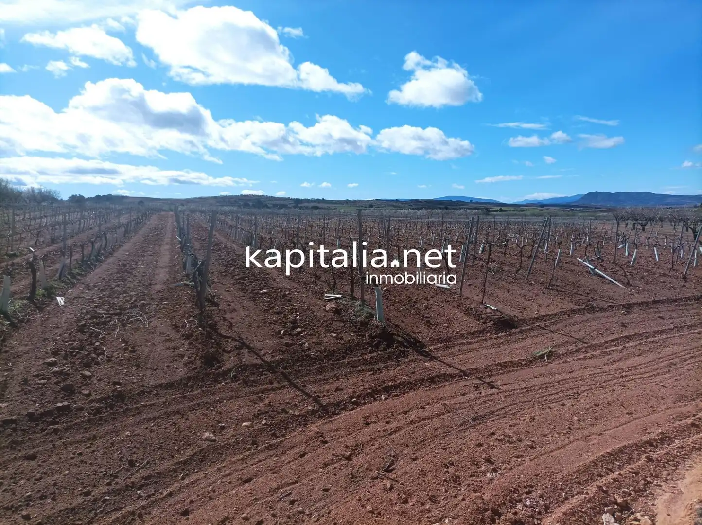 Rural land for sale in Las Cruces, imagen 2