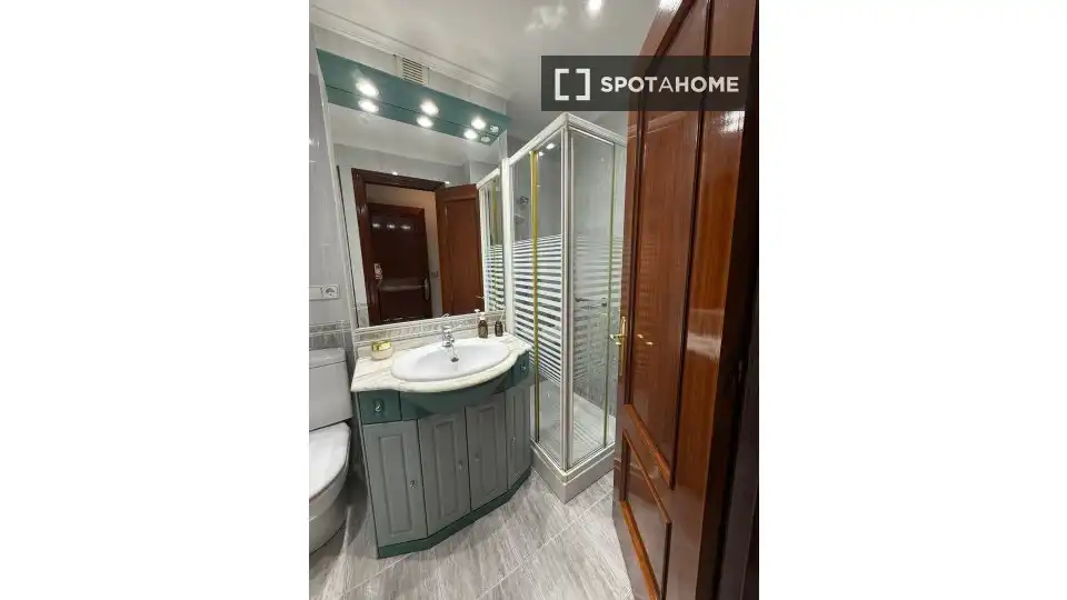 Bany de Apartament per a compartir en Bilbao  amb Aire condicionat, Terrassa i Moblat