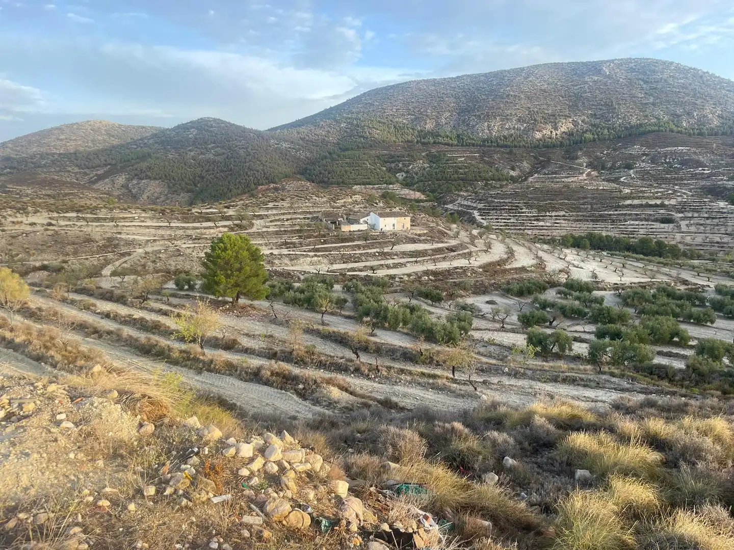 Terreny en venda en Vélez-Blanco