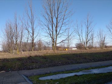 Residential land for sale in Lugar Extrarradio 16