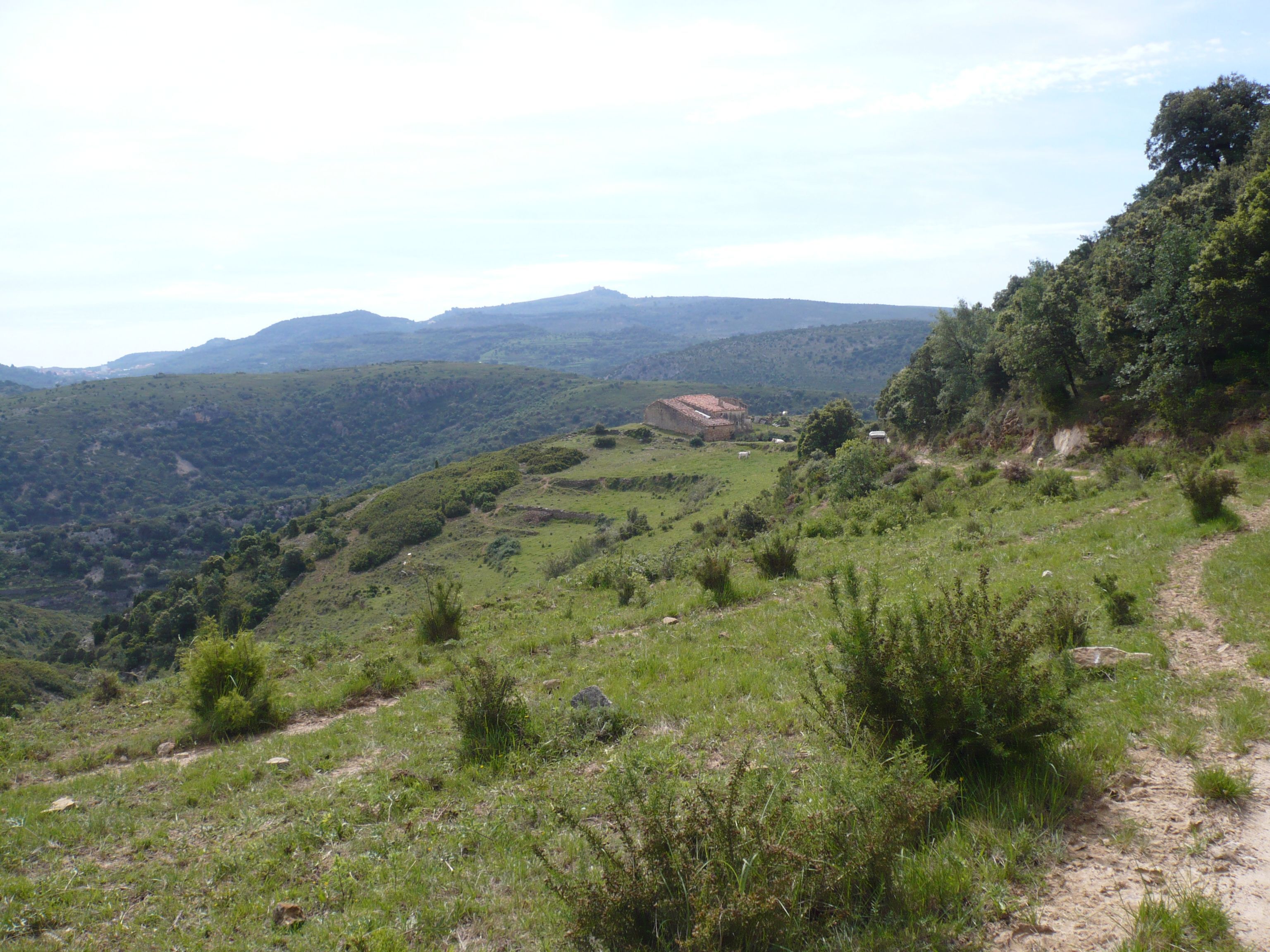 Finca rústica en venda en Benasal