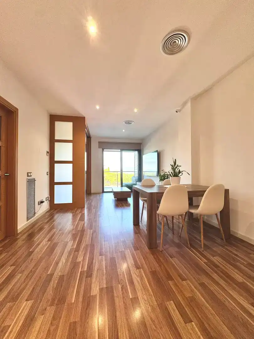 Sala d'estar de Pis en venda en Girona Capital amb Aire condicionat i Balcó