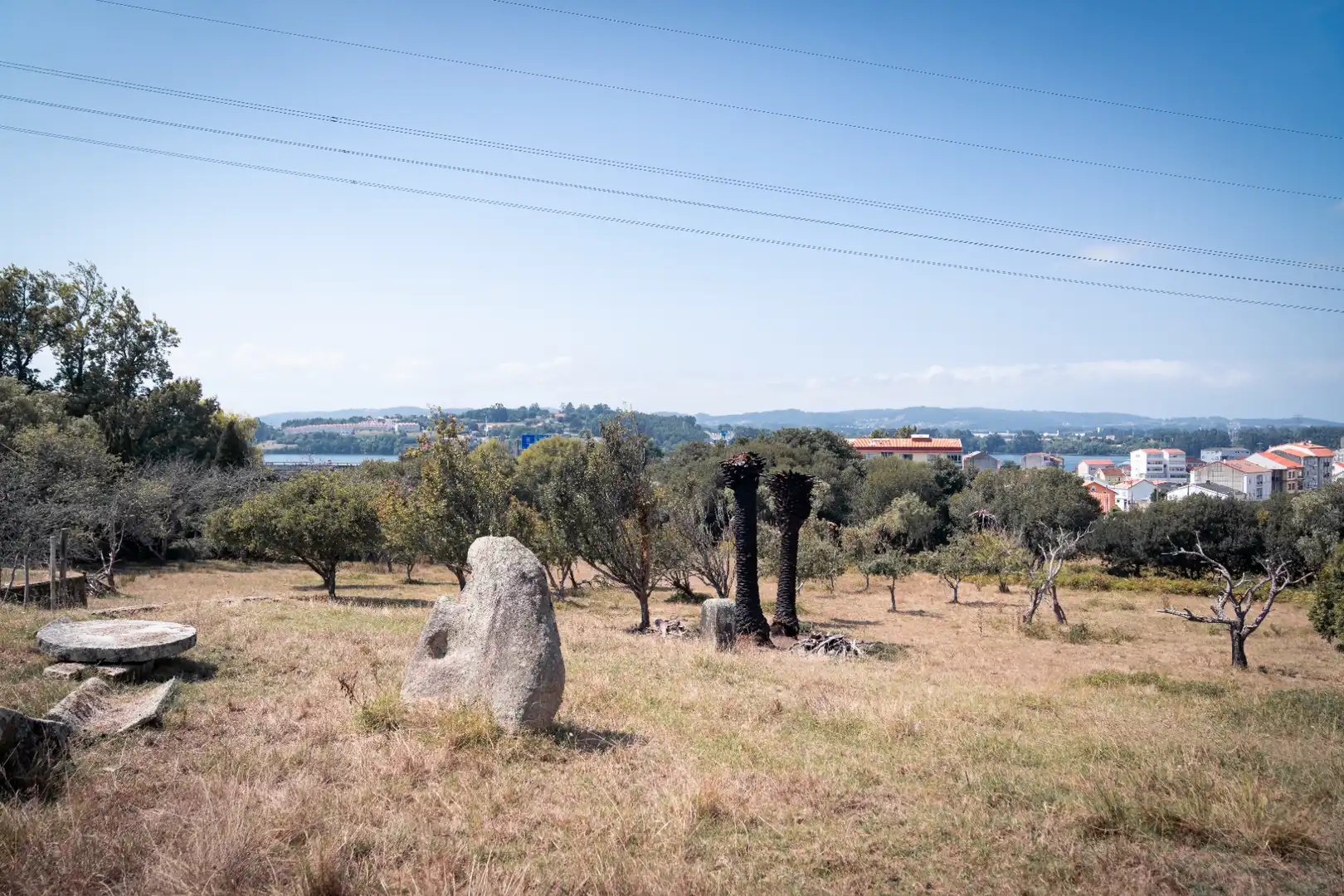 Villa à vendre à Neda, imagen 6