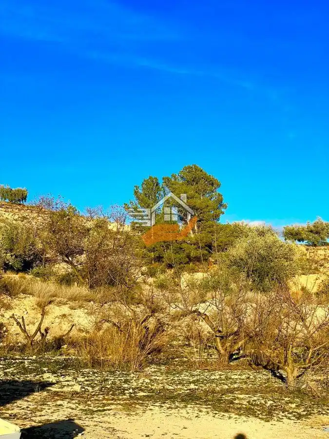 Residential land for sale in Vélez-Rubio, imagen 18